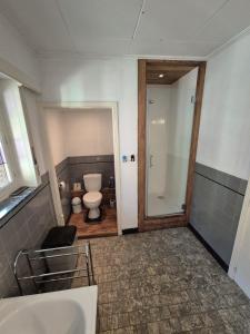 a bathroom with a toilet and a sink at Pré du Tour in Érezée +7 photos