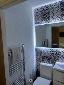 a bathroom with a toilet and a mirror at 1 double bed studio with private access and parking in Plymouth +8 photos