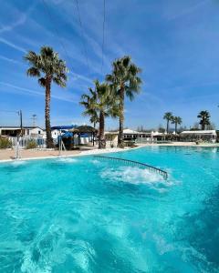 a large swimming pool with palm trees in the background at Little John in Fréjus