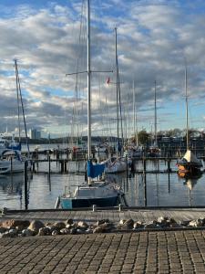 a group of boats docked in a harbor at Ferienwohnung Coasty - Timmendorfer Strand in Timmendorfer Strand