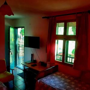 a bedroom with a bed and a desk and two windows at Vila Eva in Međuvršje