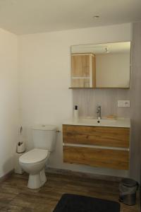 a bathroom with a toilet and a sink and a mirror at La Giraudière avec climatiseur 2 à 4 personnes in Soulgé-sur-ouette +15 photos