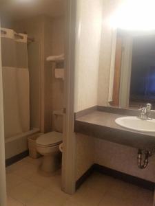 ein Bad mit einem WC und einem Waschbecken in der Unterkunft Travelers Lodge in Atco