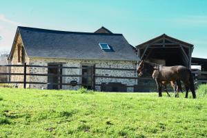 a horse standing in a field in front of a barn at La Giraudière avec climatiseur 2 à 4 personnes in Soulgé-sur-ouette