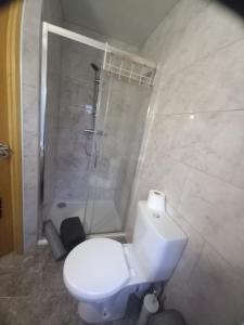 a bathroom with a white toilet and a shower at Teach Sile in Kiltimagh