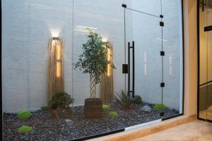 a room with a window with a plant and lights at فندق ارجان بارك طويق 2 in Riyadh +44 photos