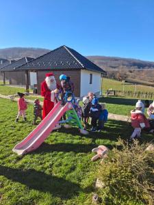 a group of children are playing on a slide at Straza in Rožanstvo