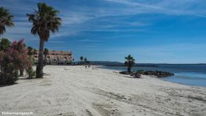 a beach with palm trees and a hotel in the background at meze34 in Mèze