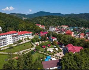 an aerial view of a town with buildings and trees at Polyana Park House aparts in Polyana
