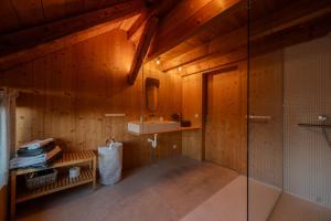 a bathroom with a shower and a sink at Reichart Apartment in Lochau