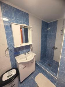 a bathroom with a sink and a shower at Apartman Danilo i Filip in Risan +12 photos
