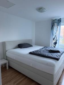 a bed in a room with a blue wall at 95qm Wohnung für 6, 3 Schlafzimmer, ruhig & stadtnah, Parkplatz in Bad Hersfeld