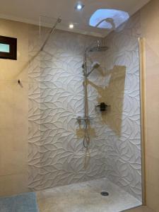a shower in a bathroom with a wall at Despertar in Antequera