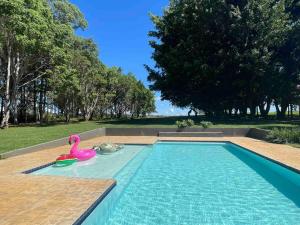 a swimming pool with a pink plastic swan in it at SUITE na margem do lago in Hidrolândia