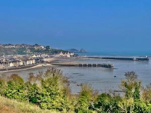 a view of a beach with a pier in the water at Cottage Le Phare in Mont-Dol