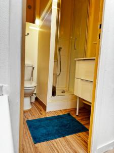 a bathroom with a shower and a toilet and a sink at greenhouse home in Corbeil-Essonnes +20 photos