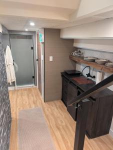 a kitchen with a stove and a counter top at Spacious King Pull Out Suite Beamsville in Beamsville +4 photos
