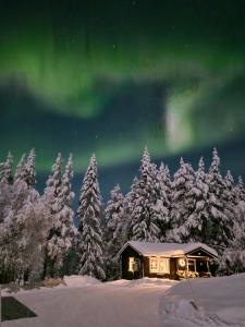 a cabin under the northern lights in a snow covered forest at Sarvasstugan in Auktsjaur