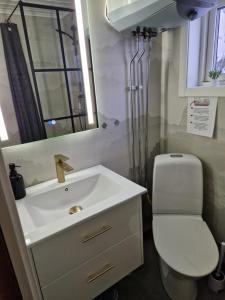 a bathroom with a sink and a toilet and a mirror at Sarvasstugan in Auktsjaur +18 photos