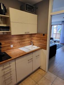 a kitchen with a sink and a counter top at FeWo Hänsel in Schönwald