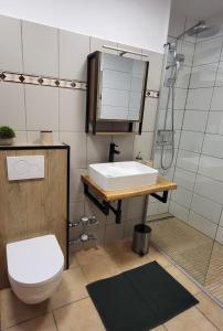 a bathroom with a sink and a toilet and a mirror at FeWo Hänsel in Schönwald