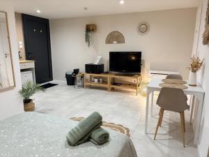 a living room with a bed and a television at Studio indépendant a 20min des plages in Castelnau-de-Guers