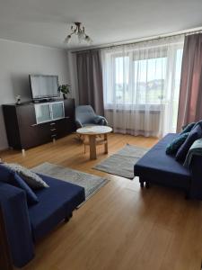 a living room with a blue couch and a tv at Apartament nad Nidą in Sobków