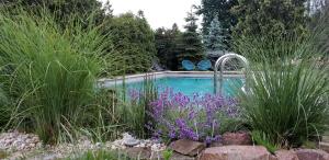 a swimming pool in a garden with purple flowers at Schäferwagen Gartenblick Nr 4 in Radebeul