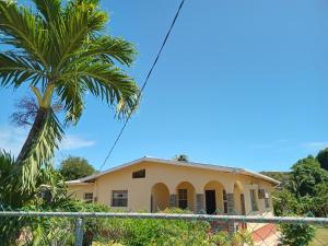 a house with a palm tree at Mars Place in Saint Georgeʼs +10 photos