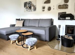 a living room with a gray couch and two tables at Apple & Pear in Ročinj