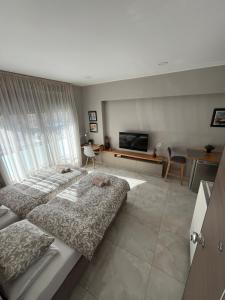 a bedroom with a large bed and a television at Κομψό studio με δωρεάν πάρκινγκ in Volos