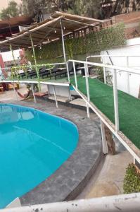 an outdoor swimming pool with blue water and green grass at the silva house in Huacachina
