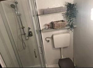 a bathroom with a shower with a toilet at Erika in Tarvisio