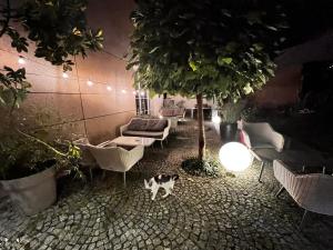 a cat standing in a room with chairs and a tree at Hotel Nowy Dwór in Trzebnica