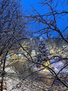 a christmas tree is shown through the branches of trees at La Mandarouseraie in Millau