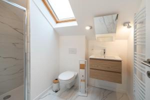a bathroom with a toilet and a sink and a skylight at Vandenbranden Suites in Brussels +55 photos