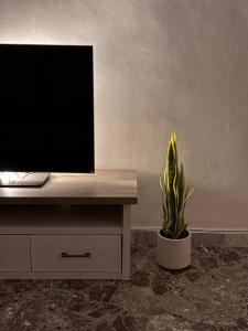 a plant in a pot sitting next to a tv at Appartamento familiare in centro a due passi dai trulli - Casa Costanza in Alberobello