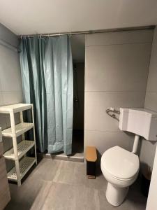 a bathroom with a toilet and a shower at Sfiggos 54 Guest House in Athens