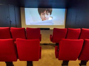 a cinema room with red chairs and a screen at Gite Ty Nid Le 1900 in Val Couesnon