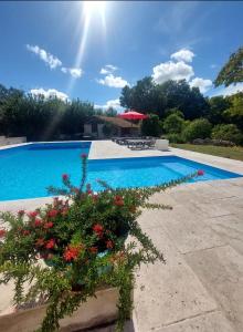 a blue swimming pool with flowers in a yard at La Maison d'ART in Lacour +24 photos