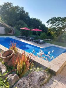 a swimming pool with benches and umbrellas in a yard at La Maison d'ART in Lacour