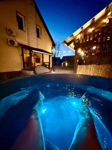 a person in a swimming pool at night at Agroturystyka Gorajeckie Roztocze in Górajec Zastawie