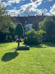 a tree in the middle of a green yard at Le Jasmin in Lure +6 photos
