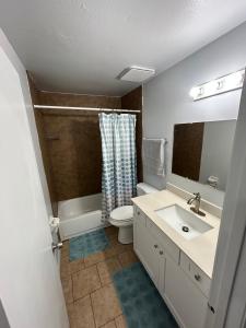 a bathroom with a sink and a toilet and a mirror at Plum Cozy Spot in Seffner +42 photos