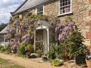 a house with wisteria on the side of it at Stroud House in Freshwater +9 photos