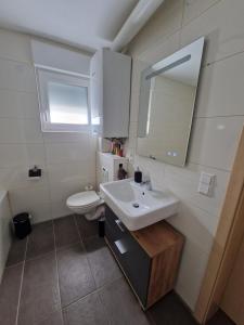 a bathroom with a sink and a toilet at Wolfskraft in Hauenstein +7 photos