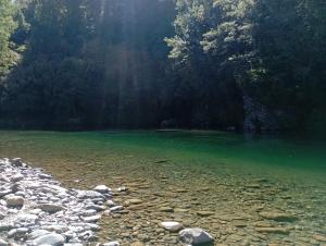 a river with green water and rocks and trees at Cruzo The House Bus in Takaka