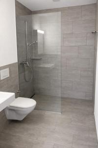 a bathroom with a shower with a toilet and a sink at Modern Nature Apartment ! WIFI & Parking Free ! in Frauenfeld