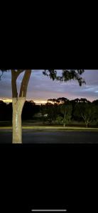 a tree sitting on the side of a road at Shaun place in Old Reynella