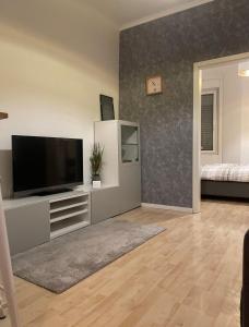 a living room with a flat screen tv on a entertainment center at Wohnung Karl-Marx 1 in Trier +10 photos